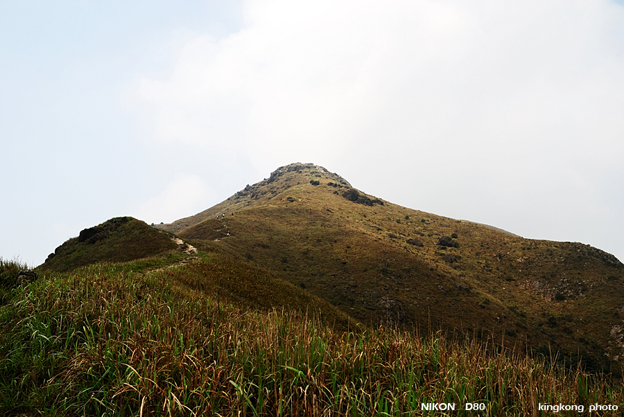 DSC_7394.jpg