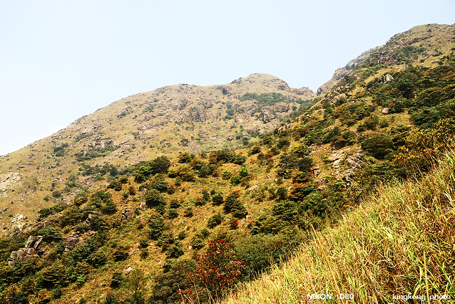 DSC_7455.jpg