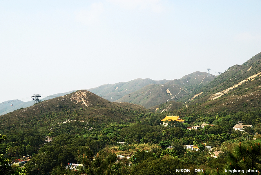 DSC_7498.jpg