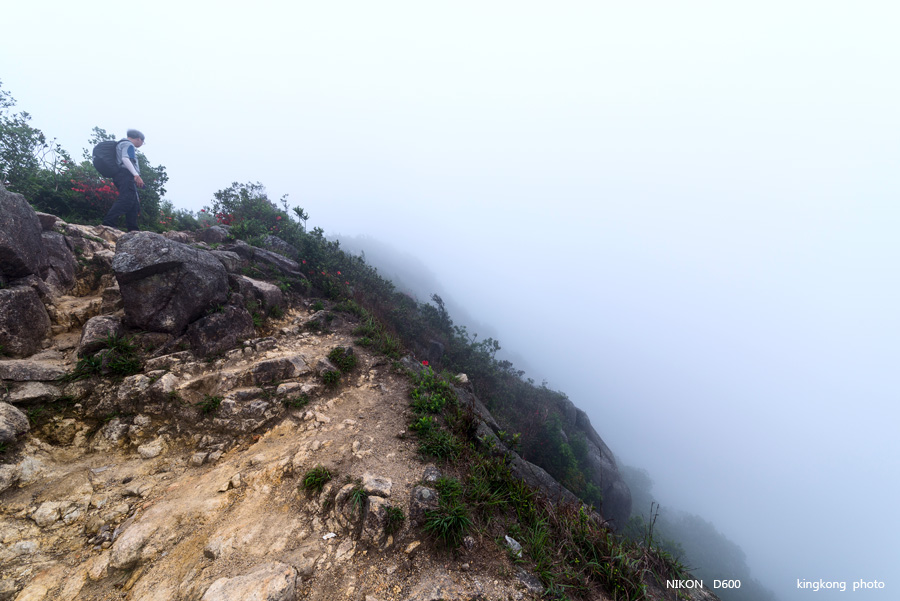 _DSC8566.jpg - Taken at Latitude/Longitude:22.352659/114.186197.  km       (Map link) 