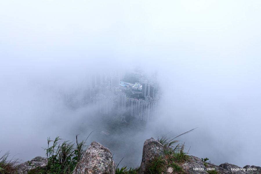 _DSC8574.jpg