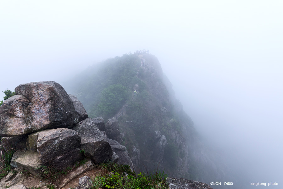 _DSC8579.jpg