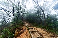 _DSC8551