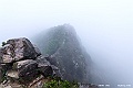 _DSC8579