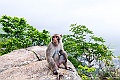 _DSC8593
