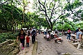 _DSC8598