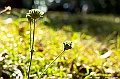 _DSC4053