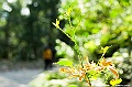 _DSC4055