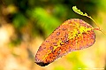 _DSC4068