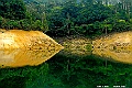 _DSC5203