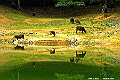 _DSC5221