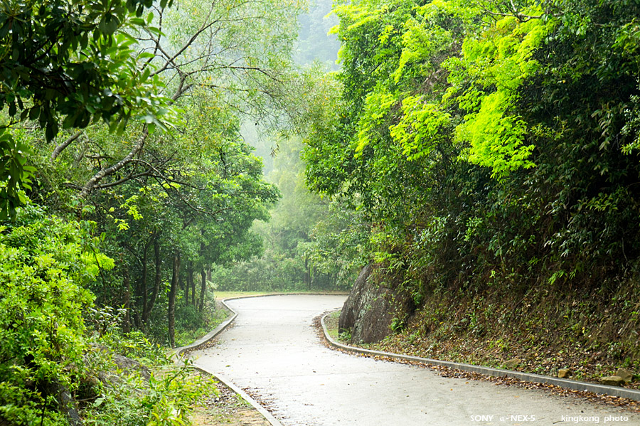 _DSC1742.jpg - Taken at Latitude/Longitude:22.388171/114.154620. 1.35 km West Pak Tin  Hong Kong   (Map link) 