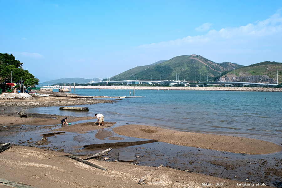 DSC_0876.JPG - YamO