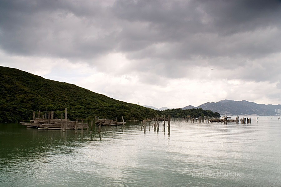 PICT0165.jpg - 陰澳