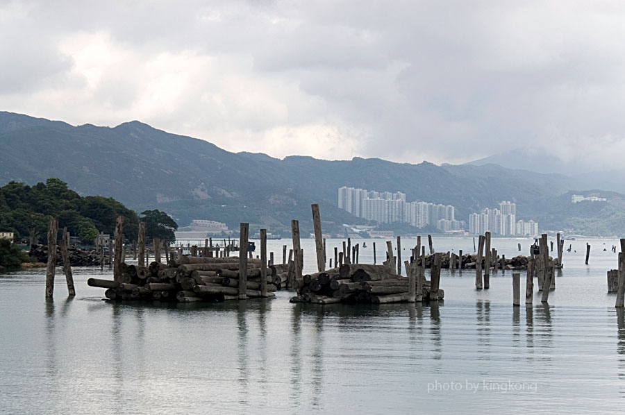 PICT0166.jpg - 陰澳