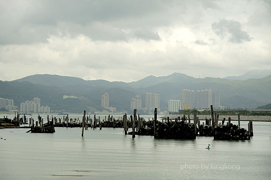 _DSC0847.jpg - 陰澳