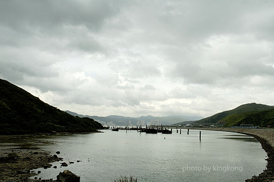 _DSC0856.jpg - 陰澳