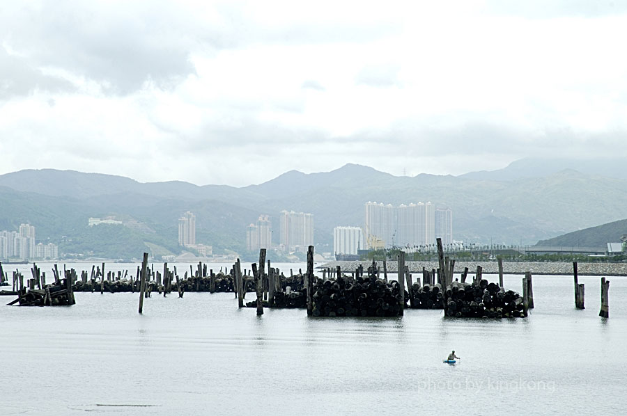 _DSC0858.jpg - 陰澳