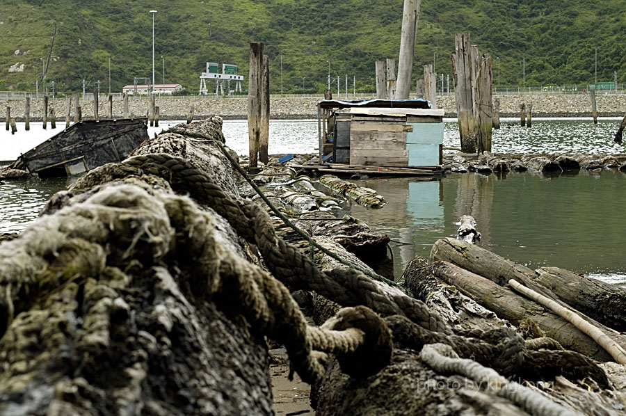 _DSC0862.jpg - 陰澳