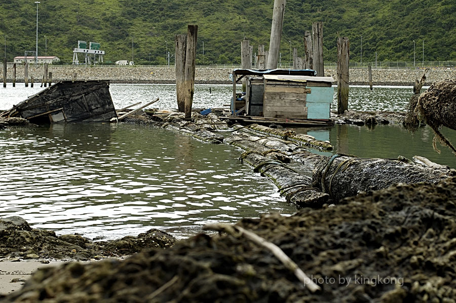 _DSC0864.jpg - 陰澳
