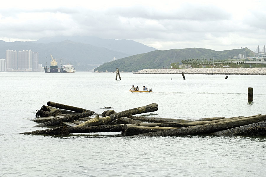 _DSC0890.jpg - 陰澳