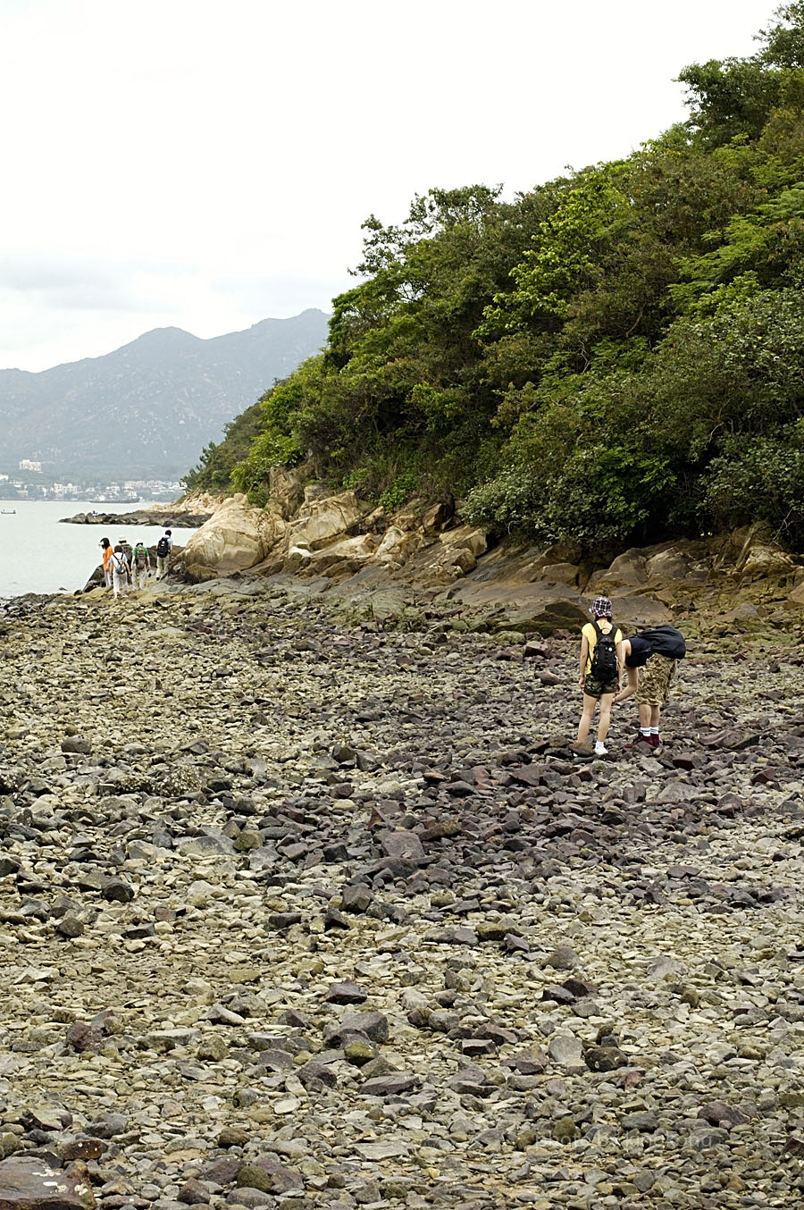 _DSC0891.jpg - 陰澳