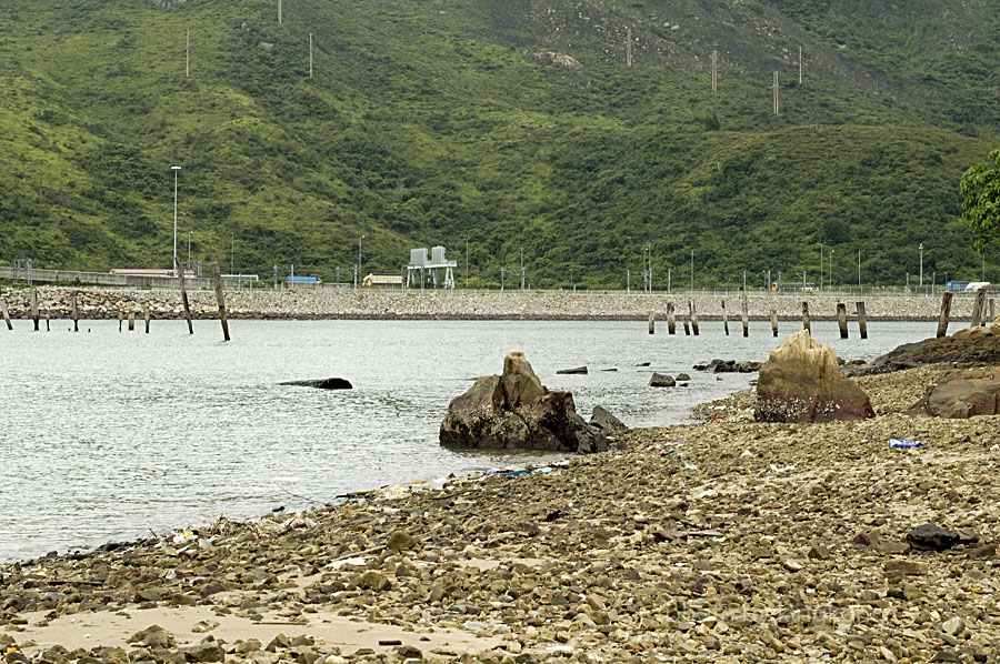 _DSC0904.jpg - 陰澳