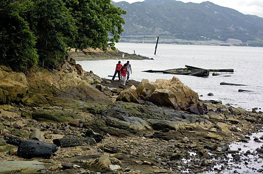_DSC0914.jpg - 陰澳