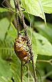 _DSC0842