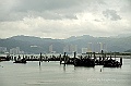 _DSC0847