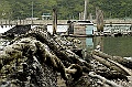 _DSC0862