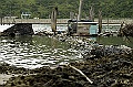 _DSC0864