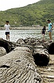 _DSC0866