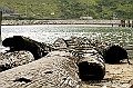 _DSC0867