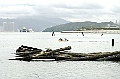 _DSC0890