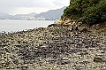 _DSC0893