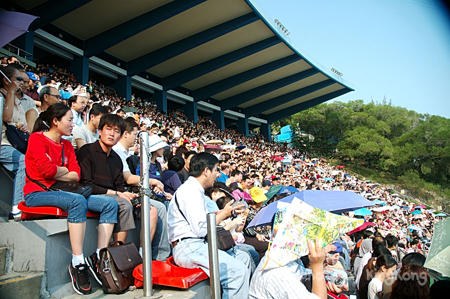 DSC_4123.jpg - 海洋公園
