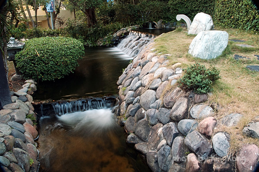 DSC_4254.jpg - 海洋公園