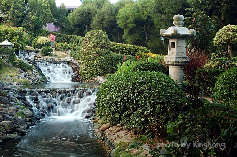DSC_4264.jpg - 海洋公園