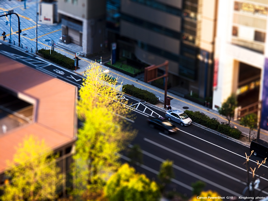 shikoku_537_g10.jpg