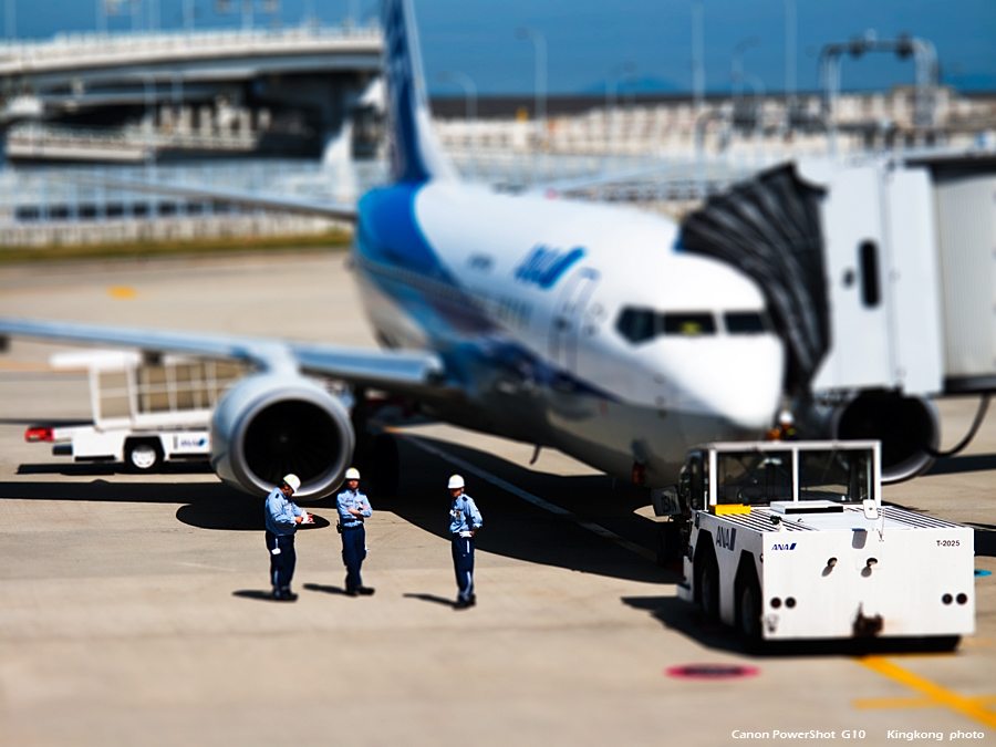 shikoku_589_g10.jpg
