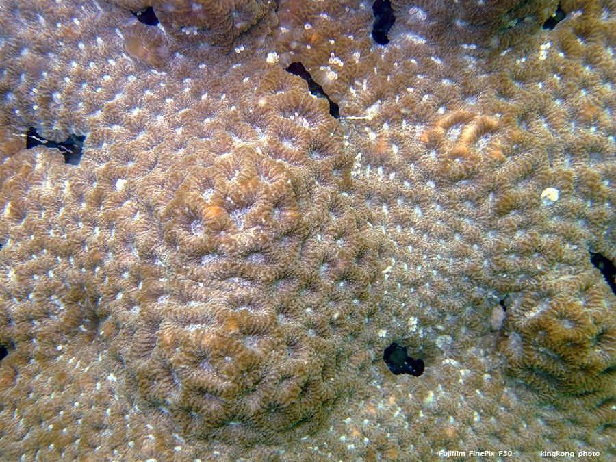 DSCF8726.JPG