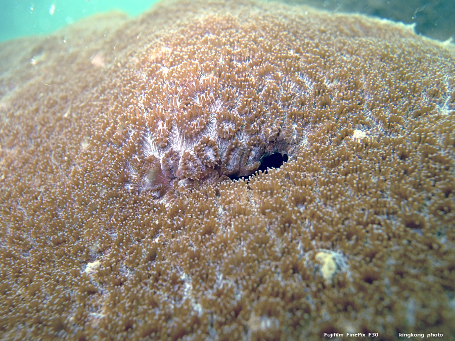 DSCF8731.JPG