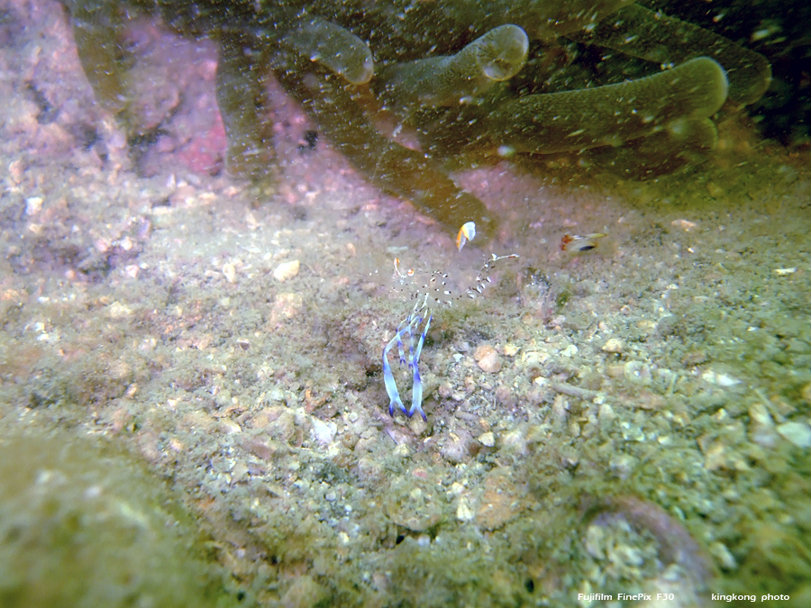 DSCF8745.JPG
