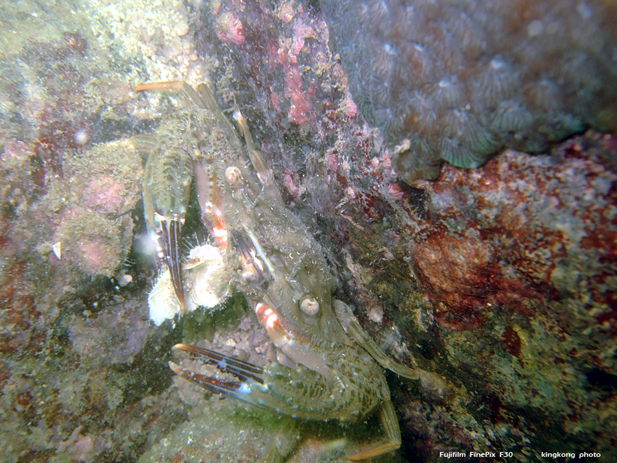 DSCF8754.JPG