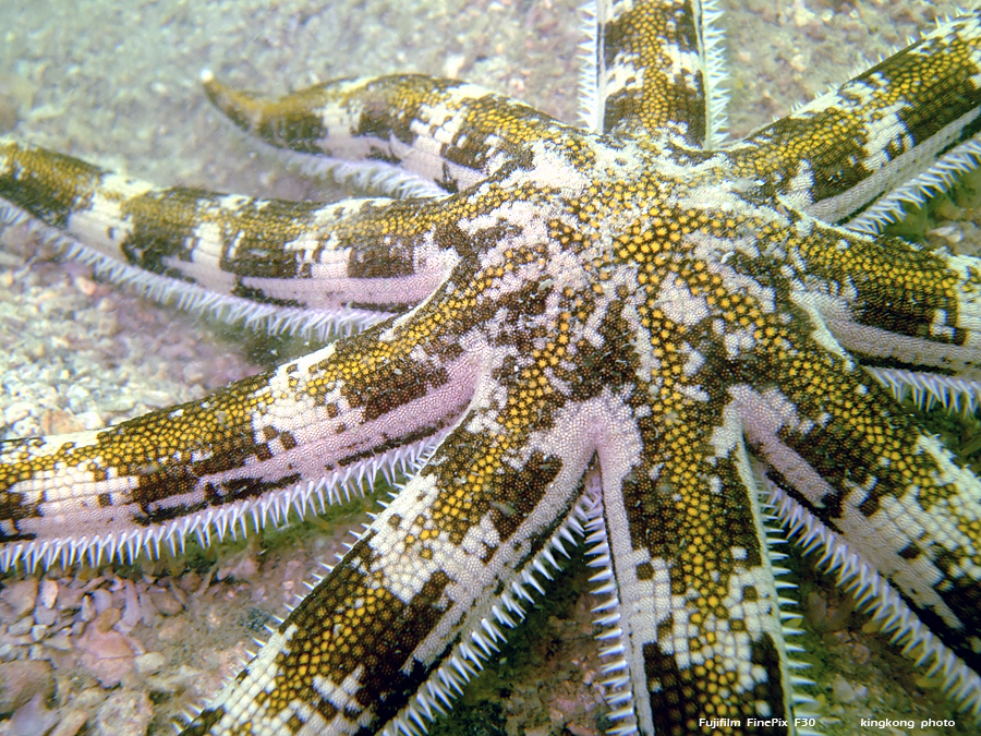DSCF8758.JPG