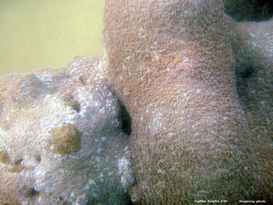 DSCF8776.JPG
