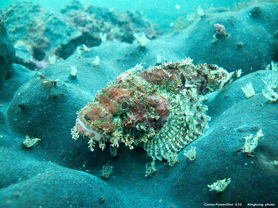 IMG_5300.JPG - UnderWater