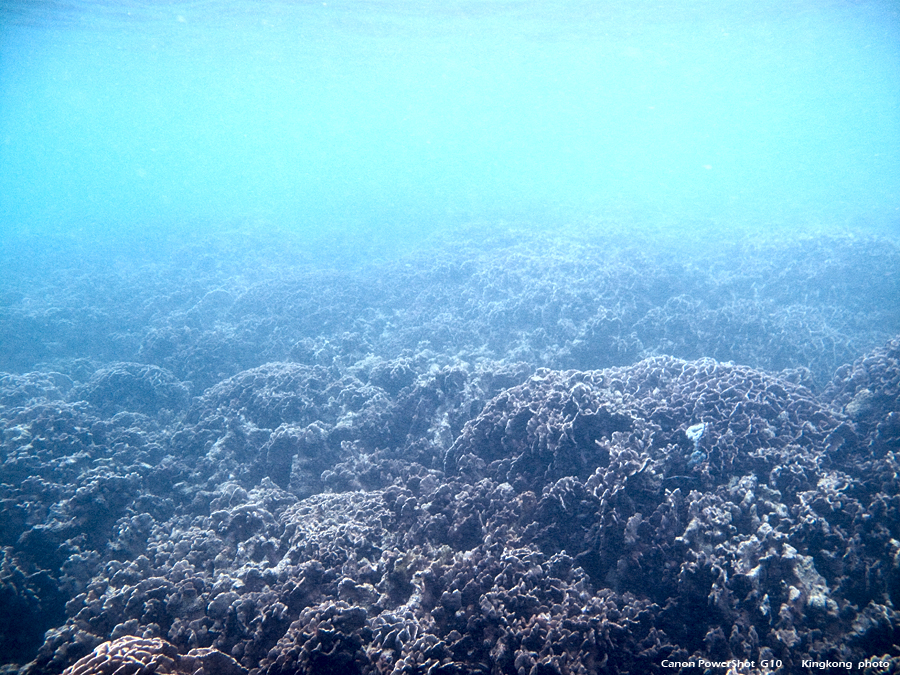 IMG_6081.JPG - Sharp Island