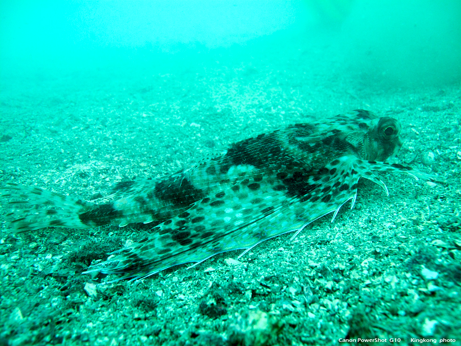 IMG_9947.JPG